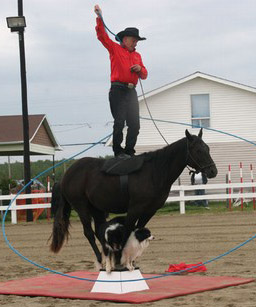 lever un cheval